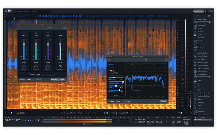 RX 11 by iZotope