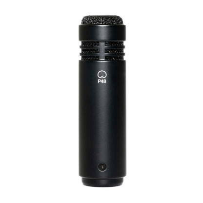 LEWITT LCT 040 MATCH Stereo Pair Small-diaphragm Condenser Microphones